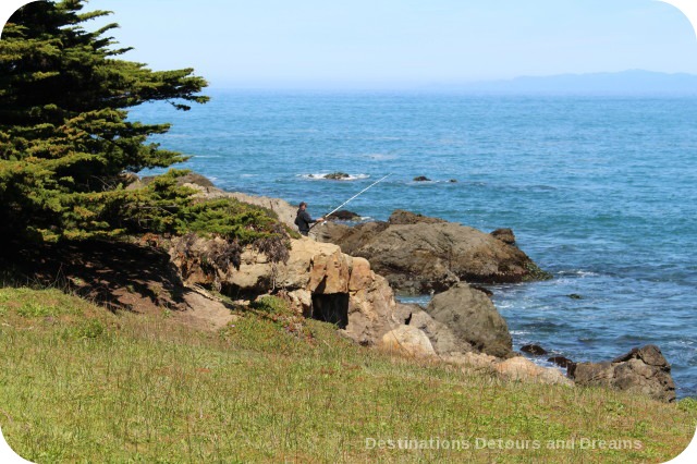 California North Coast Highlights: McKerricher State Park