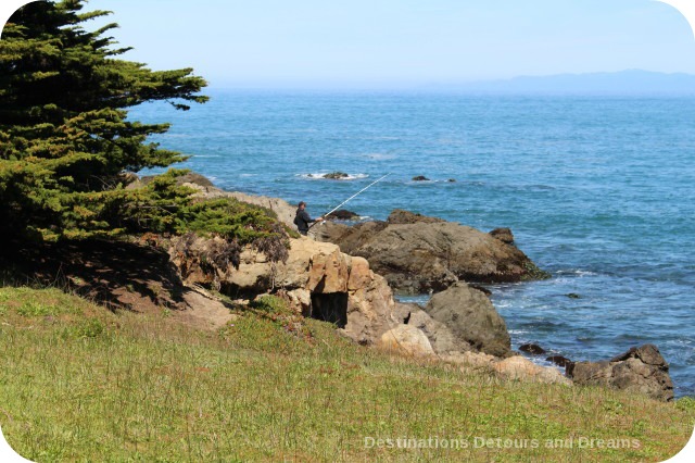 California North Coast Highlights: McKerricher State Park