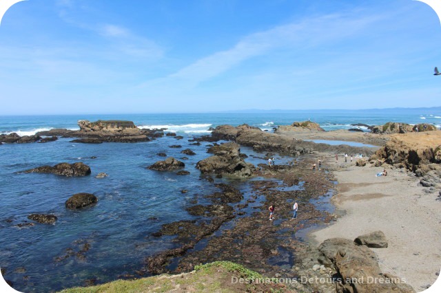 California North Coast Hihlights: Glass Beach, Fort Bragg