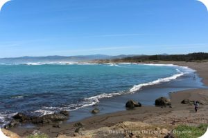 California North Coast Highlights: MacKerricher State Park