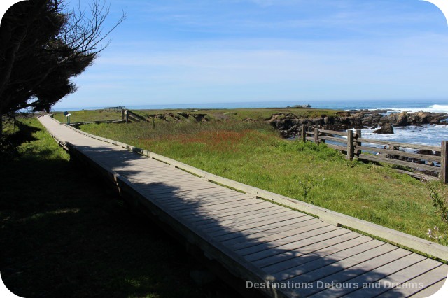 California North Coast Highlights: MacKerricher State Park