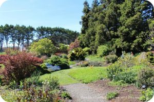 California North Coast Highlights: Mendocino Coast Botanical Gardens