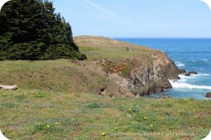 California North Coast Highlights: Mendocino Coast Botanical Gardens bluff