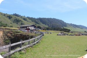 California North Coast Highlights: Pacific Star Winery