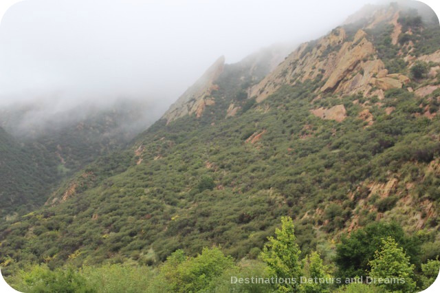 California Pacific Coast scenery