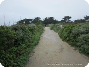 California Pacific Coast: Point Lobos trail