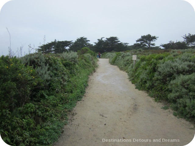 California Pacific Coast: Point Lobos trail