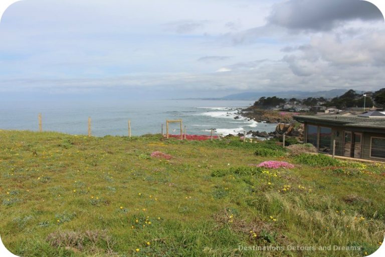 California’s SLO County: Scenic Charm and a Relaxed Vibe