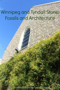 Winnipeg and Tyndall Stone: Fossils and Architecture. Tyndall Stone, full of fossils, is prominent in Winnipeg architecture