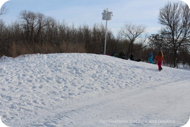 Winnipeg Winter Fun at FortWhyte Alive