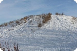 Winnipeg Winter Fun at FortWhyte Alive