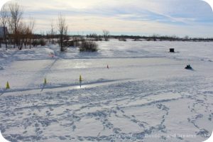 Winnipeg Winter Fun at FortWhyte Alive: tobogganning