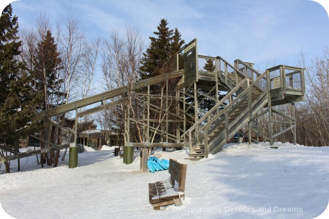 Winnipeg Winter Fun at FortWhyte Alive: Tobogganning