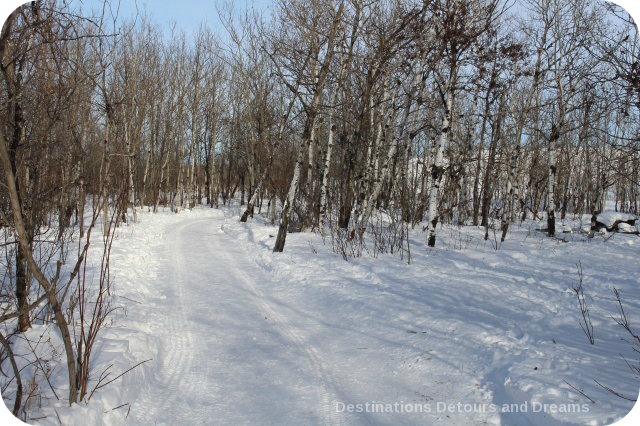 Winnipeg Winter Fun at FortWhyte Alive - trails