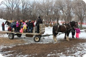 Festival du Voyageur sleigh rides