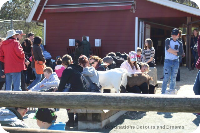 Beacon Hill Children's Farm, Victoria, British Columbia