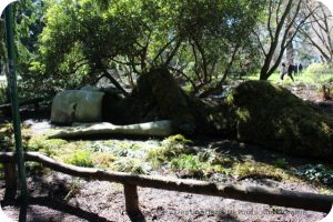 Moss Lady at Beacon Hill Park, Victoria, British Columbia