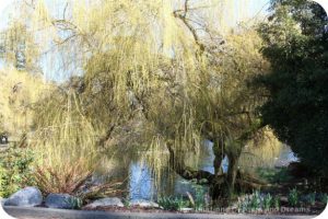 Beacon Hill Park, Victoria, British Columbia