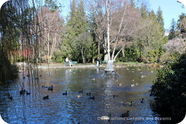 Beacon Hill Park Beckons