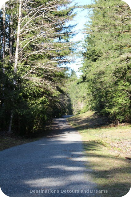 Trail to the historic Kinsoh Trestle Bridge on Vancouver Island