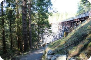 The historic Kinsoh Trestle Bridge on Vancouver Island