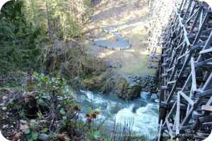 At the hsitoric historic Kinsoh Trestle Bridge on Vancouver Island