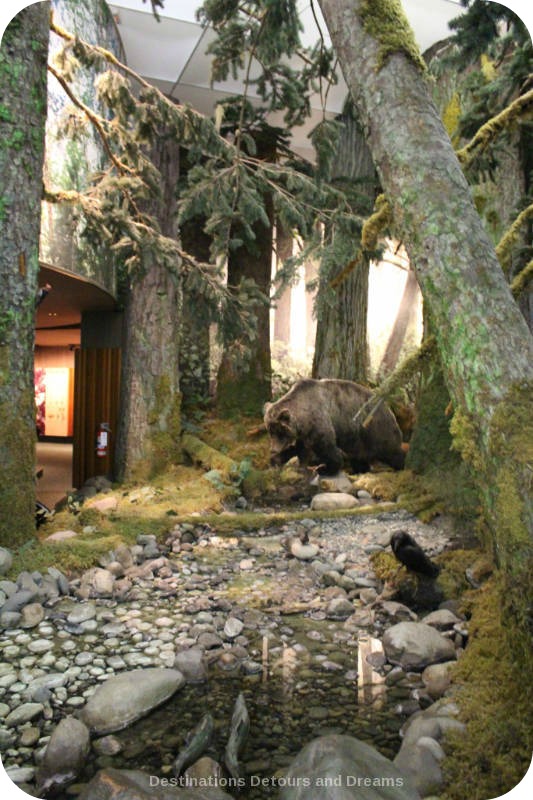 The story of British Columbia at the Royal BC Museum - forest landscapes