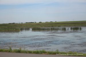 Canadian Prairie Summer Road Trip Photo Story: marsh