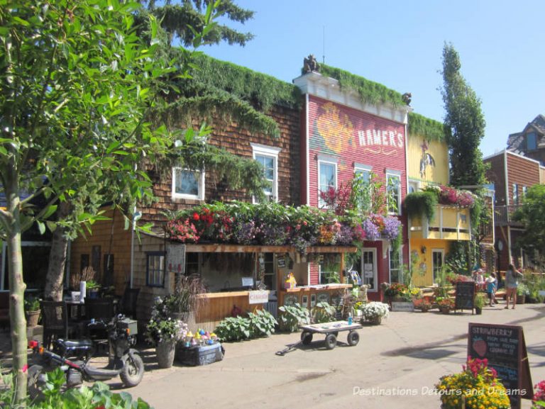 More Than Saskatoons at the Saskatoon Farm