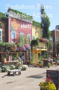 More than Saskatoons at the Saskatoon Farm in Okotoks, Alberta: food, gardens, gifts, and more