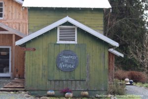 A Sweet Visit to Westholme Tea on Vancouver Island. Tea, pottery, sweets on a Canadian tea farm.