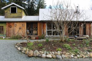 Converted barn. A Sweet Visit to Westholme Tea on Vancouver Island. Tea, pottery, sweets on a Canadian tea farm.