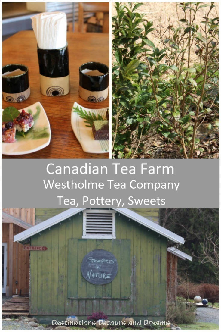 A Sweet Visit to Westholme Tea on Vancouver Island. Tea, pottery, sweets on a Canadian tea farm.