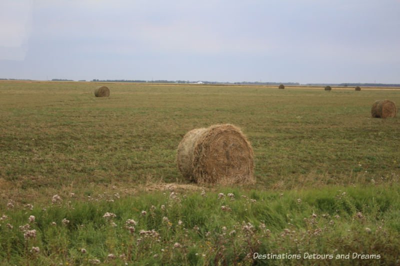 Scenery on The Great Train Robbery: a fun excursion on Manitoba's Prairie Dog Central Railway, a heritage train