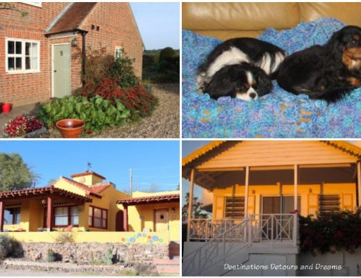 About the experience of becoming house sitters