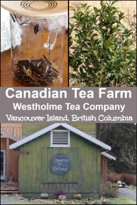 Canadian-grown tea and other unique teas at Westholme Tea Company on Vancouver Island