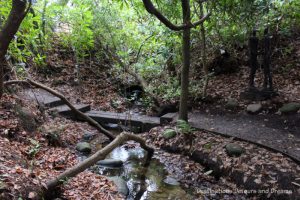 The Striking Serenity of the Sculpture Park in Churt: A woodland garden of eclectic sculptures in the rolling Surrey Hills