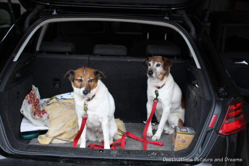 The House Sitting Experience - in the car and ready to go