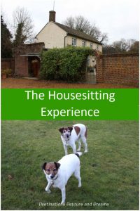 The House Sitting experience - our first house-sit with Trusted Housesitters. #travel #housesit
