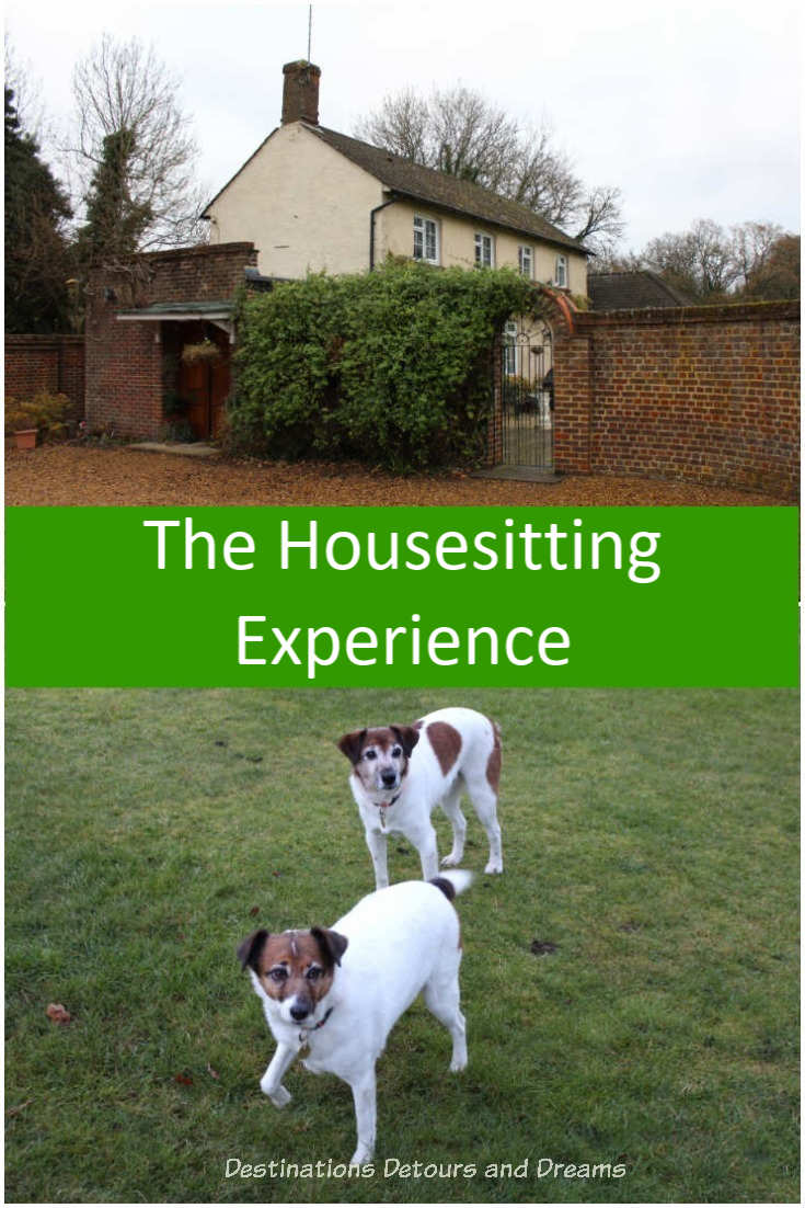 The House Sitting experience - our first house-sit with Trusted Housesitters. #travel #housesit 