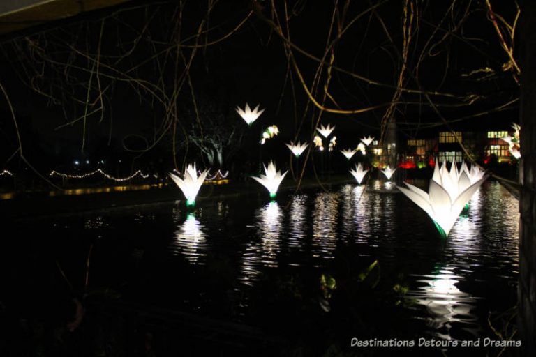 Magical Glow at Garden Wisley