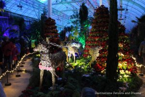 Magical Christmas Glow at RHS Garden Wisley in Surrey, England