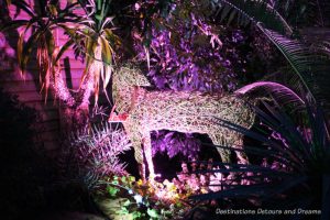 Magical Christmas Glow at RHS Garden Wisley in Surrey, England