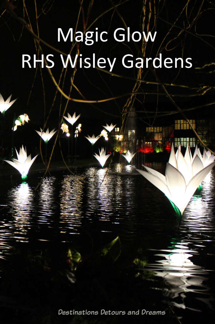 Magical Christmas Glow at RHS Garden Wisley in Surrey, England #garden #England #RHS #Wisley #Surrey
