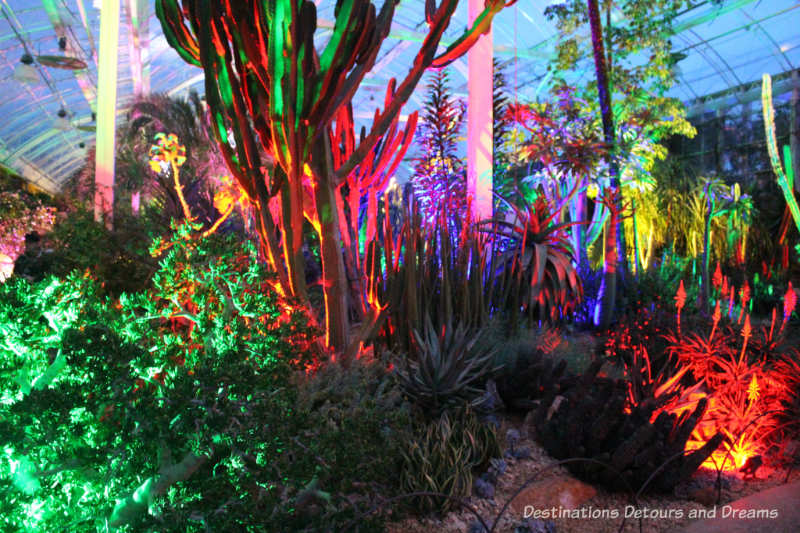 Magical Christmas Glow at RHS Garden Wisley in Surrey, England