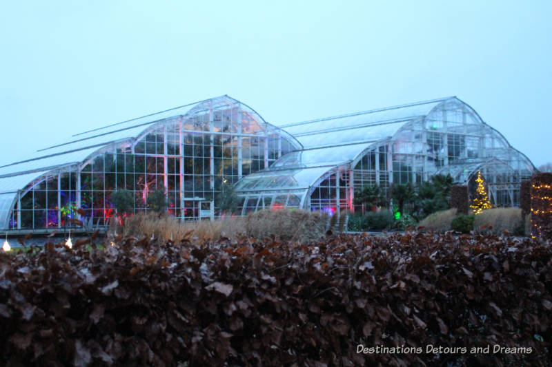 Magical Christmas Glow at RHS Garden Wisley in Surrey, England