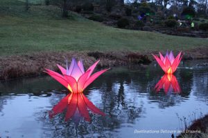 Magical Christmas Glow at RHS Garden Wisley in Surrey, England