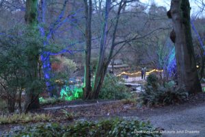 Magical Christmas Glow at RHS Garden Wisley in Surrey, England