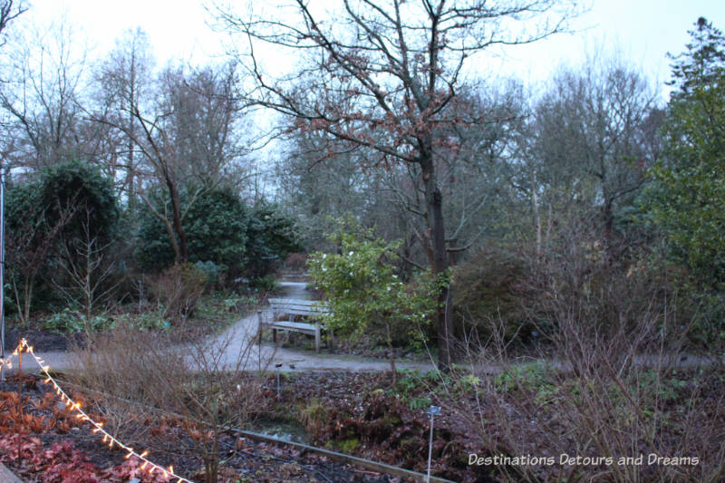 Winter Walk at RHS Garden Wisley in Surrey, England