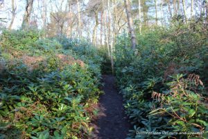 Path to Watts Studios at Watts Gallery - Artists' Village in Compton, Surrey